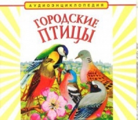 CD "Аудиоэнциклопедия. Городские птицы" - «globural.ru» - Иркутск