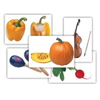 Набор предметных картинок "Овощи. Музыкальные инструменты" - «globural.ru» - Иркутск