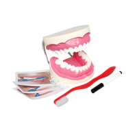 Игровой комплект "Чистим зубы" - «globural.ru» - Иркутск