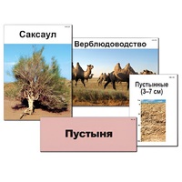 Модель-аппликация "Природные зоны России" - «globural.ru» - Иркутск