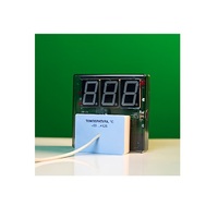 Датчик температуры с независимой индикацией (термометр демонстрационный) - «globural.ru» - Иркутск