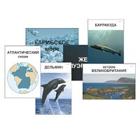 Модель-аппликация "Океаны. Знакомство" (ламинированная) - «globural.ru» - Иркутск