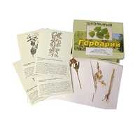 Гербарий "Систематика растений. Семейство Бобовые. Злаки" (раздаточный) - «globural.ru» - Иркутск