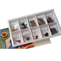 Коллекция "Плоды сельскохозяйственных растений" (вариант 2) - «globural.ru» - Иркутск