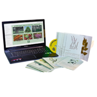 Гербарий натурально-интерактивный "Лекарственные растения" - «globural.ru» - Иркутск