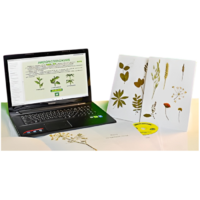 Гербарий натурально-интерактивный "Морфология растений" - «globural.ru» - Иркутск