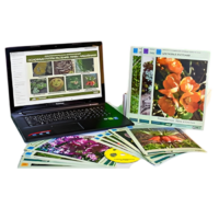 Гербарий натурально-интерактивный "Основные группы растений. Грибы. Лишайники" - «globural.ru» - Иркутск