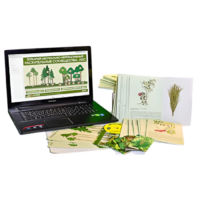 Гербарий натурально-интерактивный "Растительные сообщества. Лес" - «globural.ru» - Иркутск