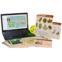 Гербарий натурально-интерактивный к курсу основ общей биологии - «globural.ru» - Иркутск