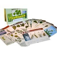 Гербарий к курсу основ общей биологии - «globural.ru» - Иркутск