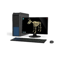 Макет масштабный «Скелет Коровы» Масштаб 1:2 - «globural.ru» - Иркутск