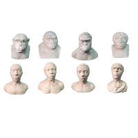 Набор палеонтологических муляжей - «globural.ru» - Иркутск