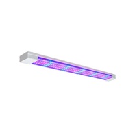 Фитолампа - «globural.ru» - Иркутск