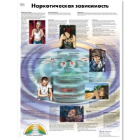 Плакат "Наркотическая зависимость", ламинированный, 50*67 см - «globural.ru» - Иркутск