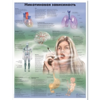 Плакат "Никотиновая зависимость", ламинированный, 50*67 см - «globural.ru» - Иркутск