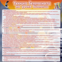 Стенд "Техника безопасности на уроках биологии" (вариант 1) - «globural.ru» - Иркутск