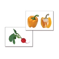 Дидактическое пособие "Овощи" (24 карточки, А4, ламинированное) - «globural.ru» - Иркутск