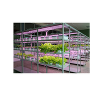 Обучающий комплект "АГРОкласс" - «globural.ru» - Иркутск