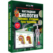 Наглядная биология. Человек. Строение тела человека - «globural.ru» - Иркутск