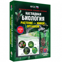 Наглядная биология. Растение - живой организм - «globural.ru» - Иркутск