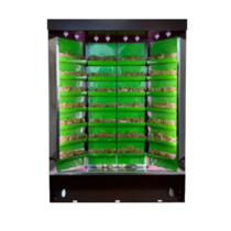 Вертикальная ферма "Моя Микрозелень" комплектация "Театро настольная" - «globural.ru» - Иркутск