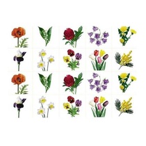 Комплект карточек. Серия наглядных пособий "Запоминай, играй, считай". Цветы. - «globural.ru» - Иркутск