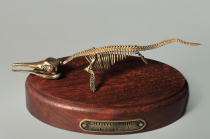 Модель скелета ихтиозавра Ichthyosaurus - «globural.ru» - Иркутск
