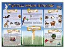 Стенд-уголок "Друзья наши меньшие" - «globural.ru» - Иркутск