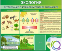 Стенд "Экология. Организация и функционирование сообществ" - «globural.ru» - Иркутск