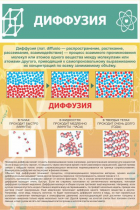 Стенд "Диффузия" - «globural.ru» - Иркутск