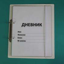 Дневник школьника (с полным набором карточек) - «globural.ru» - Иркутск