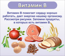 Стенд "Витамин В" - «globural.ru» - Иркутск