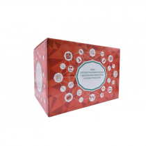 Набор для конструирования роботов с одноплатным компьютером на уроках технологии - «globural.ru» - Иркутск