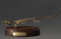 Модель скелета мозазавра Mosasaurus - «globural.ru» - Иркутск