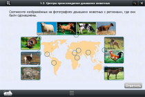 Интерактивные курсы. Биология 7 класс. Расширенный - «globural.ru» - Иркутск