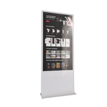 Интерактивный сенсорный киоск Nova 55" - «globural.ru» - Иркутск