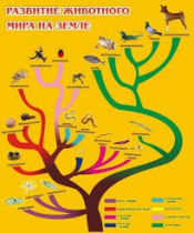 Стенд "Развитие животного мира на земле" - «globural.ru» - Иркутск