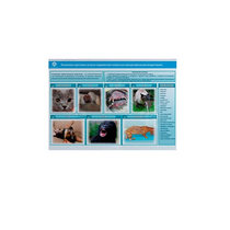 Стенд-планшет светодинамический «Острые отравления животных лекарственными препаратами» - «globural.ru» - Иркутск