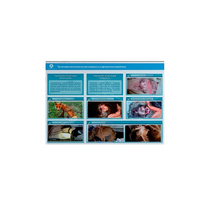 Стенд-планшет светодинамический "Изучение типических патологических процессов в организмах животных" - «globural.ru» - Иркутск