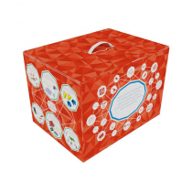 Набор для конструирования программируемых роботов, кибернетических систем и интернета вещей с одноплатным мини-компьютером - «globural.ru» - Иркутск