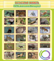 Стенд "Красная книга - млекопитающие" - «globural.ru» - Иркутск