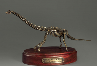 Модель скелета динозавра Brachiosaurus - «globural.ru» - Иркутск