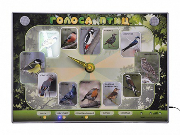 Электрифицированный стенд-часы "Голоса птиц" с комплектом дидактического материала - «globural.ru» - Иркутск