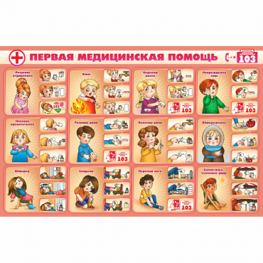 Стенд "Первая помощь" - «globural.ru» - Иркутск