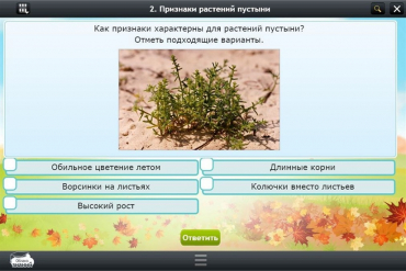 Интерактивные курсы. Окружающий мир 3 класс. Базовый - «globural.ru» - Иркутск