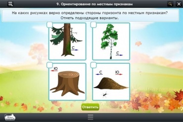 Интерактивные курсы. Окружающий мир 1 класс. Базовый - «globural.ru» - Иркутск