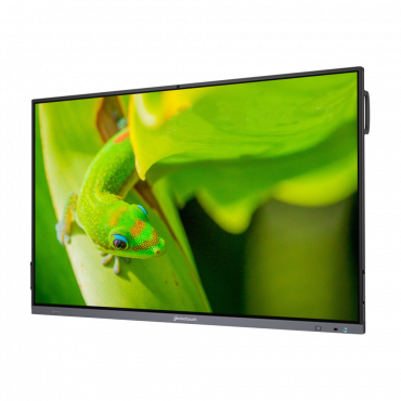 Интерактивный программно-аппаратный комплекс Geckotouch Interactive IP86GT-С  в комплекте с настенным креплением - «globural.ru» - Иркутск