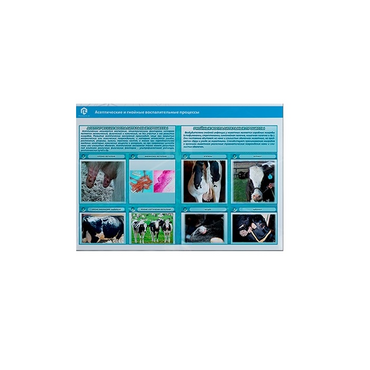 Стенд-планшет светодинамический «Изучение асептических и гнойных воспалительных процессов» - «globural.ru» - Иркутск