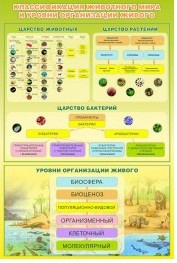 Стенд "Классификация животного мира" - «globural.ru» - Иркутск
